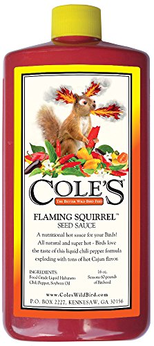 Product label illustration of Cole's Flaming Squirrel Seed Sauce featuring a fiery squirrel surrounded by vibrant red and yellow chili peppers and a yellow cap.