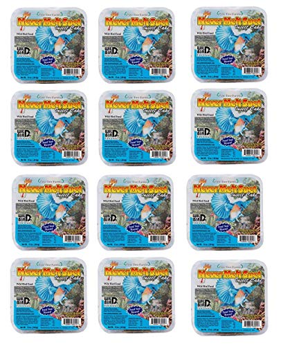 Twelve packages of Evergreen Farms Never Melt Suet insect cakes featuring a bluebird in flight against a backdrop of colorful berries and greenery
