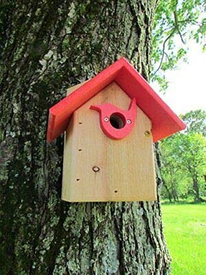 Wooden birdhouse with a bright red roof and bird-shaped entryway mounted on a tree in a grassy area featuring a red accent and visible wood grain