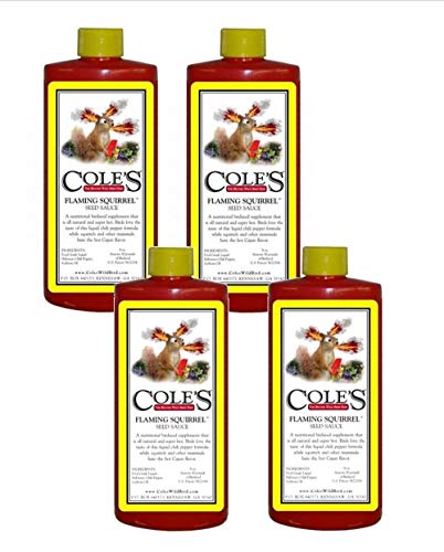 Product shot of four bottles of Coles Flaming Squirrel Seed Sauce featuring a cartoon squirrel engulfed in flames surrounded by peppers and berries on a yellow label with red bottles