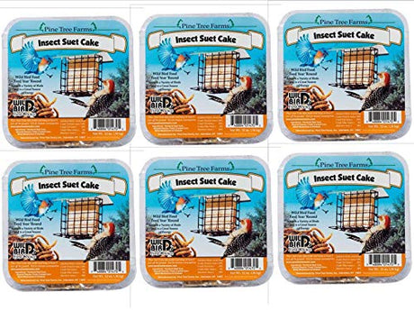 Pine Tree Farms insect suet cakes featuring a bird feeder, a bluebird, a woodpecker, and yellow mealworms against a natural background