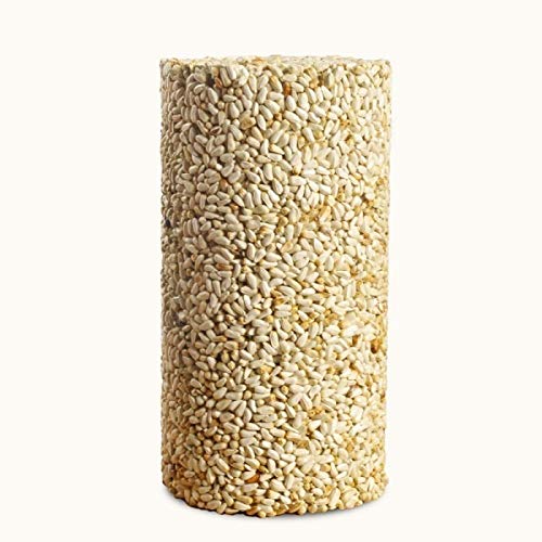Mr. Bird Safflower Feast Small Wild Bird Seed Cylinder, 32 oz. packed with nutritious safflower seeds for backyard birds.
