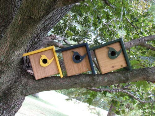 Three handcrafted wooden birdhouses in yellow dark blue and dark green hanging from a large tree branch featuring stylized bird cutouts and natural wood tones