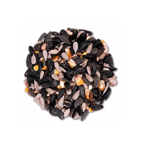 Cole's Blue Ribbon Blend Bird Seed mix featuring sunflower seeds and other top ingredients for wild birds.