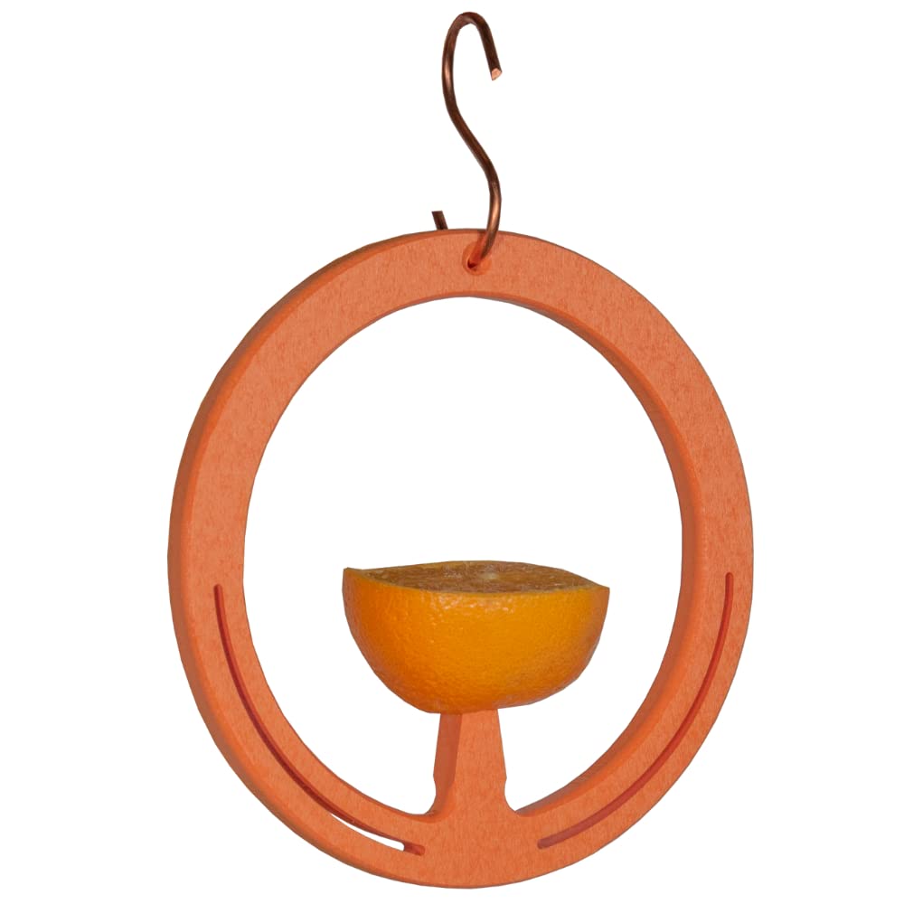 JCS Wildlife Spike Oriole Orange Fruit Feeder with a sliced orange, perfect for attracting orioles in your garden.
