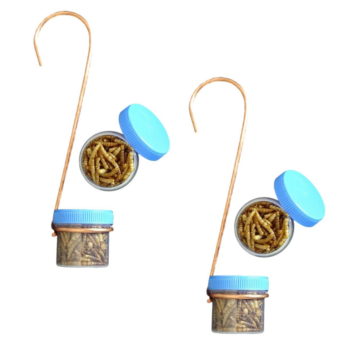Product shot showing two small clear jars of dried mealworms with light blue lids hanging from copper wire hooks the mealworms are light brown and appear crunchy in texture