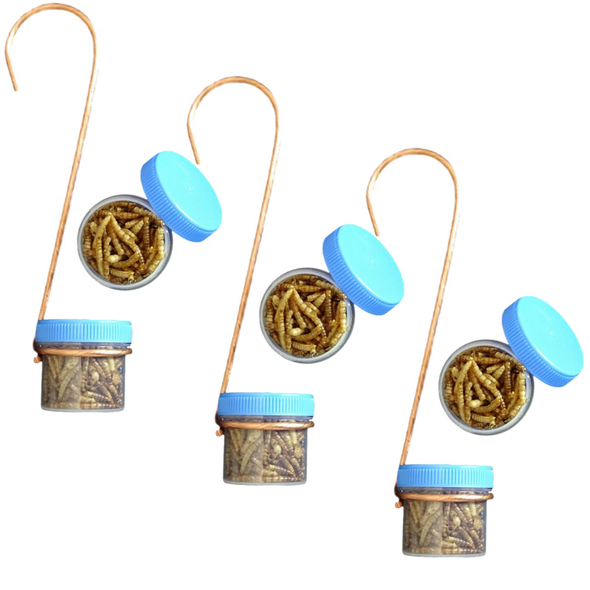 Product shot showing four small jars of dried mealworms with light blue lids hanging from copper wire hooks against a white background  the mealworms appear golden brown and crunchy