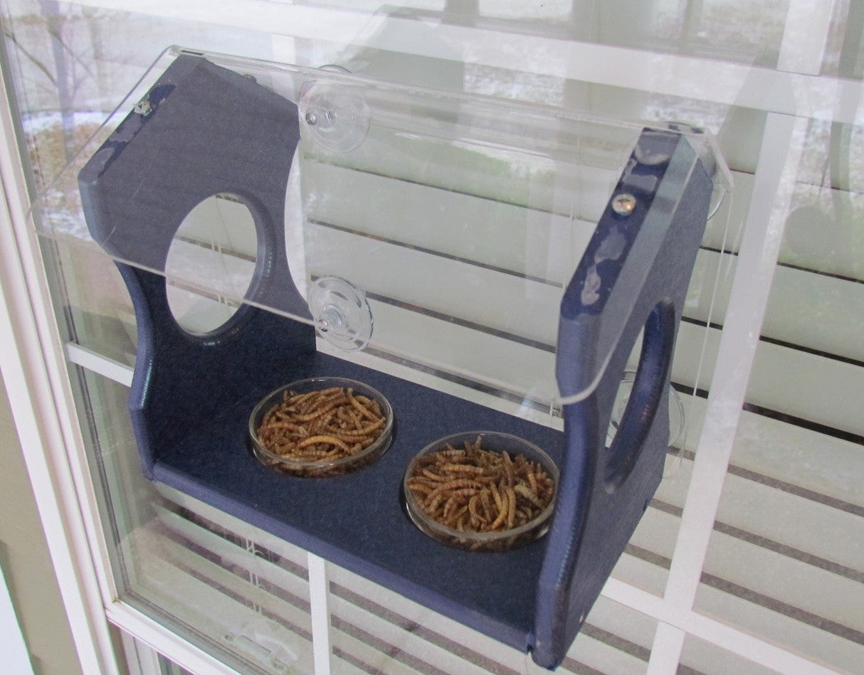 JCS Wildlife Window Mount Bluebird Mealworm Feeder