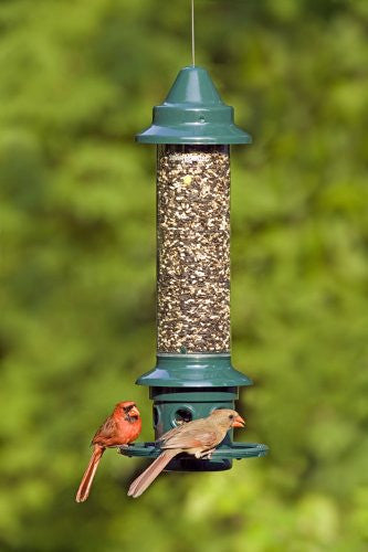 Brome Squirrel Buster Plus Bird Feeder w/ Cardinal Perch Ring 1024