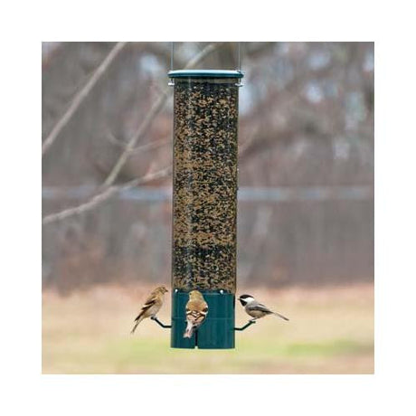 Photo of a dark green metal and clear plastic bird feeder in a backyard setting with three birds a goldfinch a chickadee and another small bird feeding on mixed seeds showing a blurry background of trees and grass