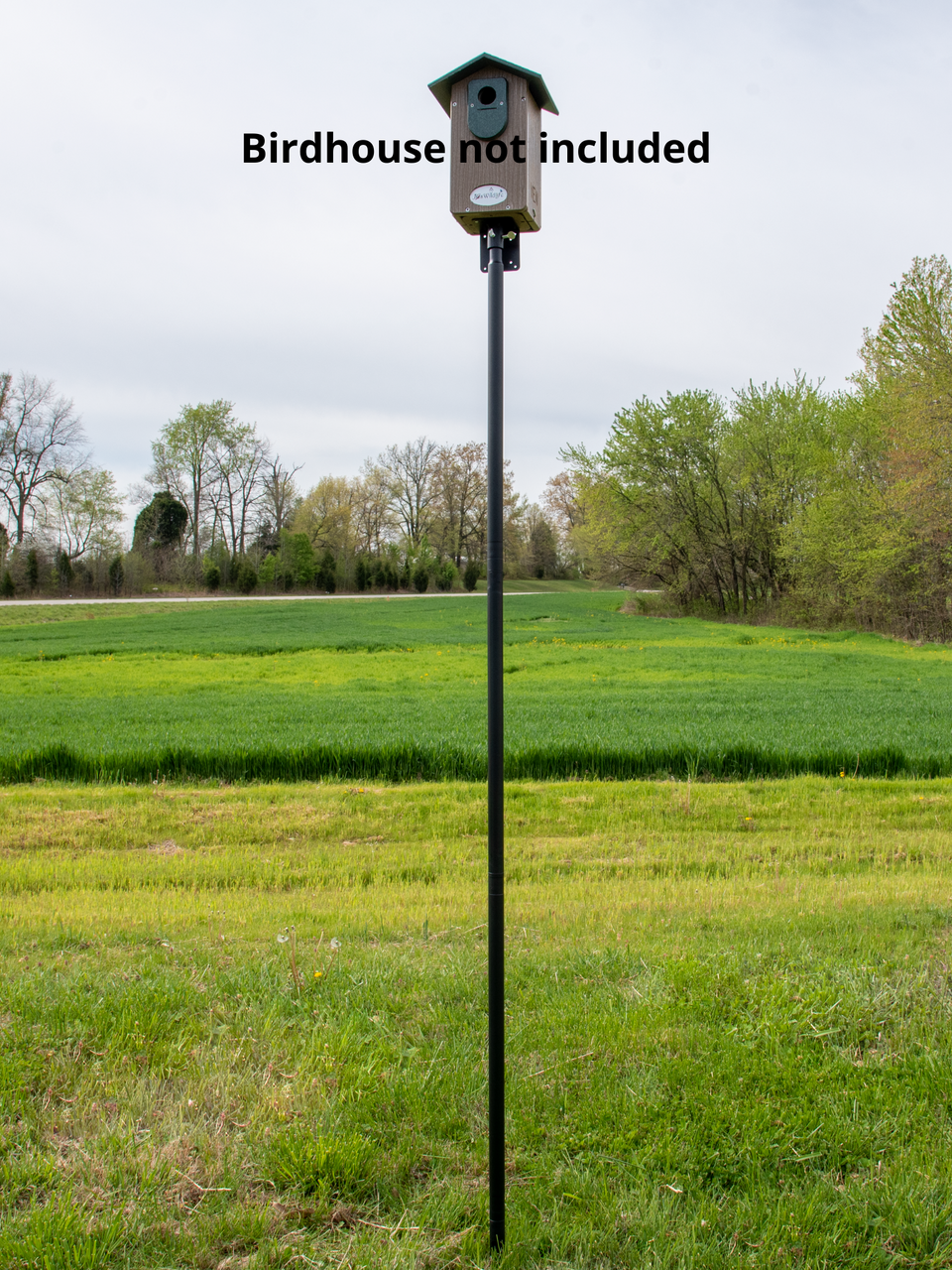Photograph showing a black metal birdhouse post in a grassy field with trees and a road in the background featuring vibrant green wheat fields and a few yellow wildflowers near the post.