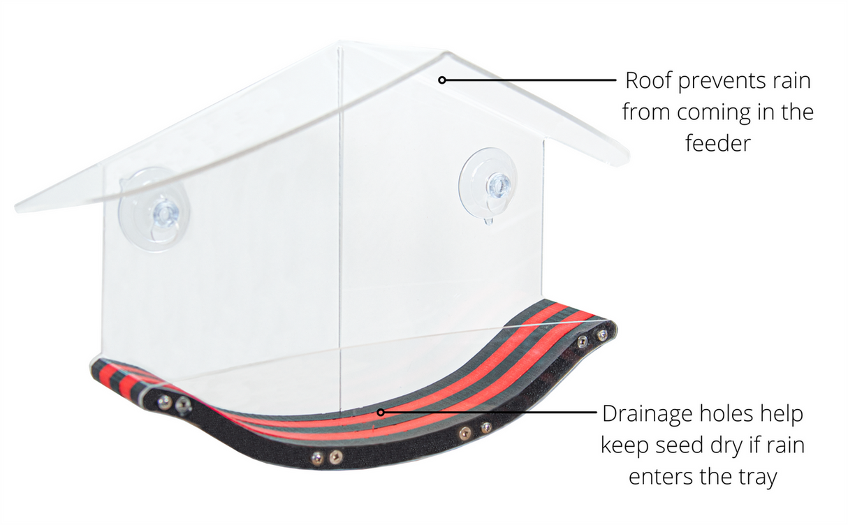 JCS Wildlife Swoop Window Bird Feeder showcasing its roof and drainage features for rain protection and seed dryness.