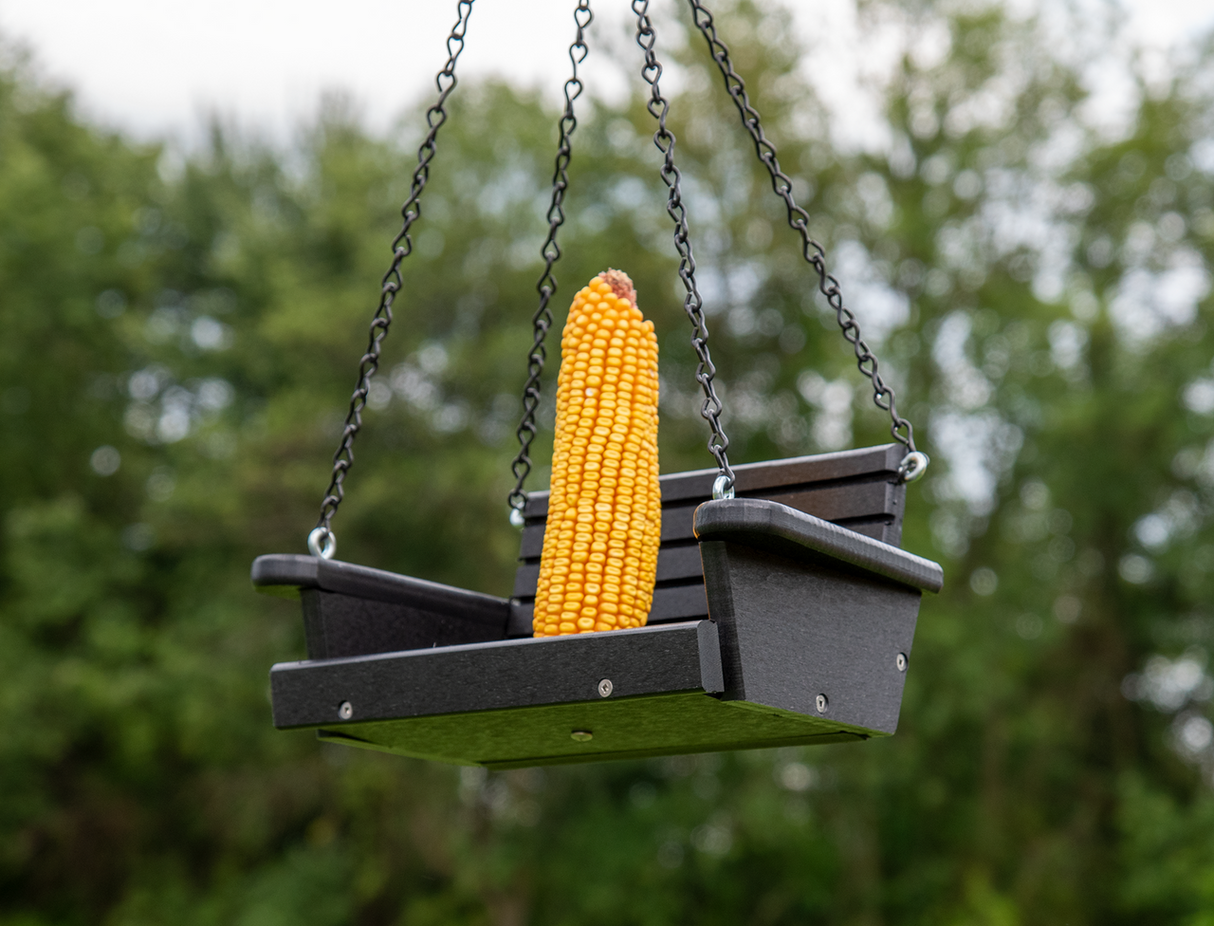 Photograph of a black plastic bird feeder shaped like a swing hanging outdoors amongst green trees featuring a vibrant yellow ear of corn a dark chain and visible screws