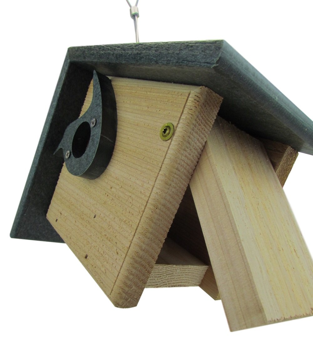 Wooden birdhouse with dark gray roof and a brass screw featuring a unique curved entryway and clean wood grain against a white background