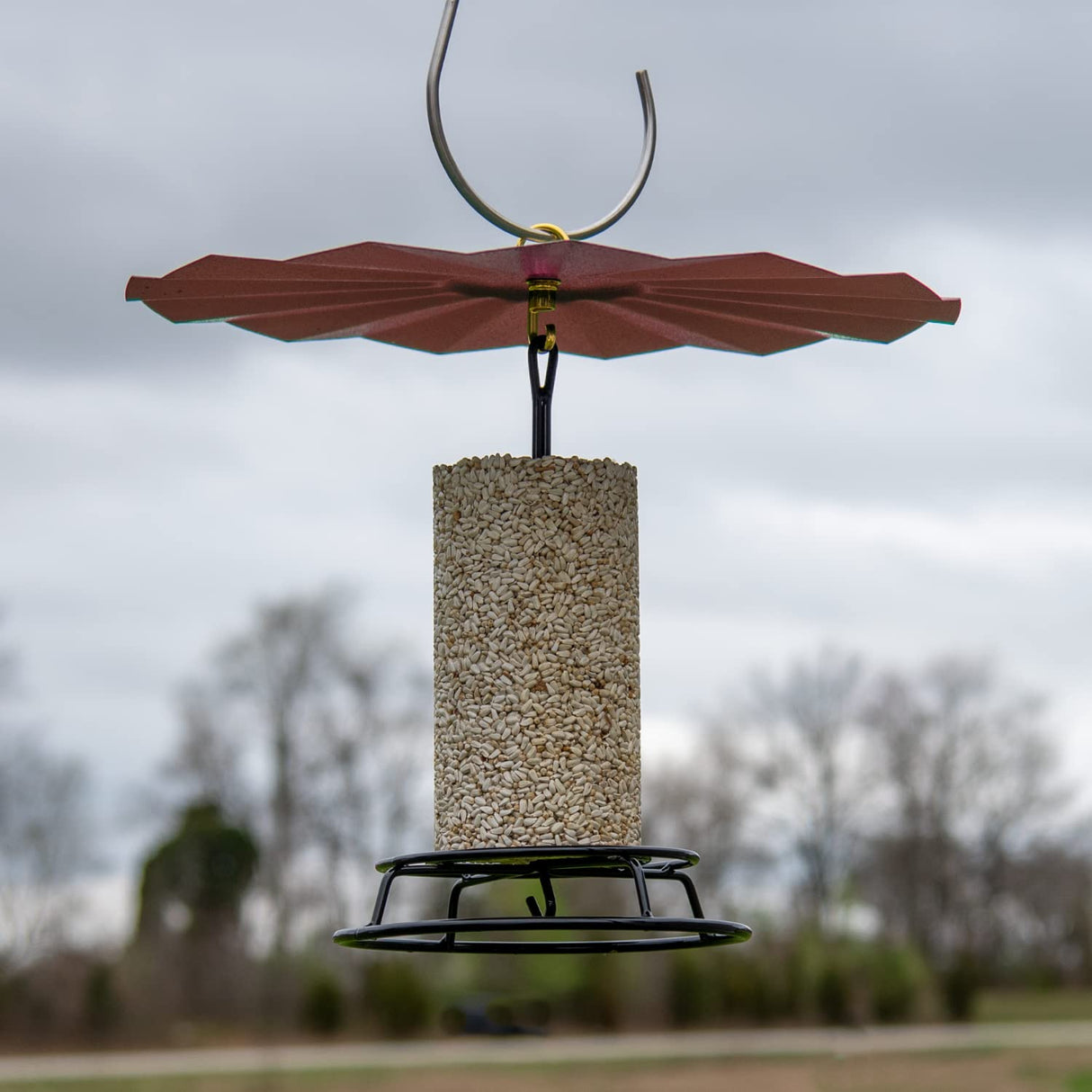 JCS Wildlife 16" Rain Guard with hammered metal texture protecting bird seed feeder in garden setting.