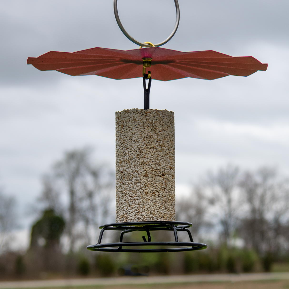 JCS Wildlife 16" Metal Rain Guard with bird seed cylinder feeder set, designed for seed protection and hanging.