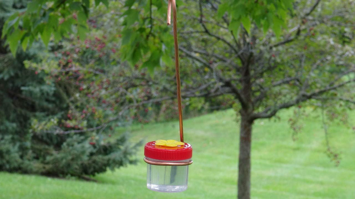 Photograph of a homemade hummingbird feeder hanging from a copper wire outdoors amidst green trees, featuring a red plastic top, a clear plastic container and a bright yellow flower-shaped detail, set against a backdrop of red berries and lush green grass.
