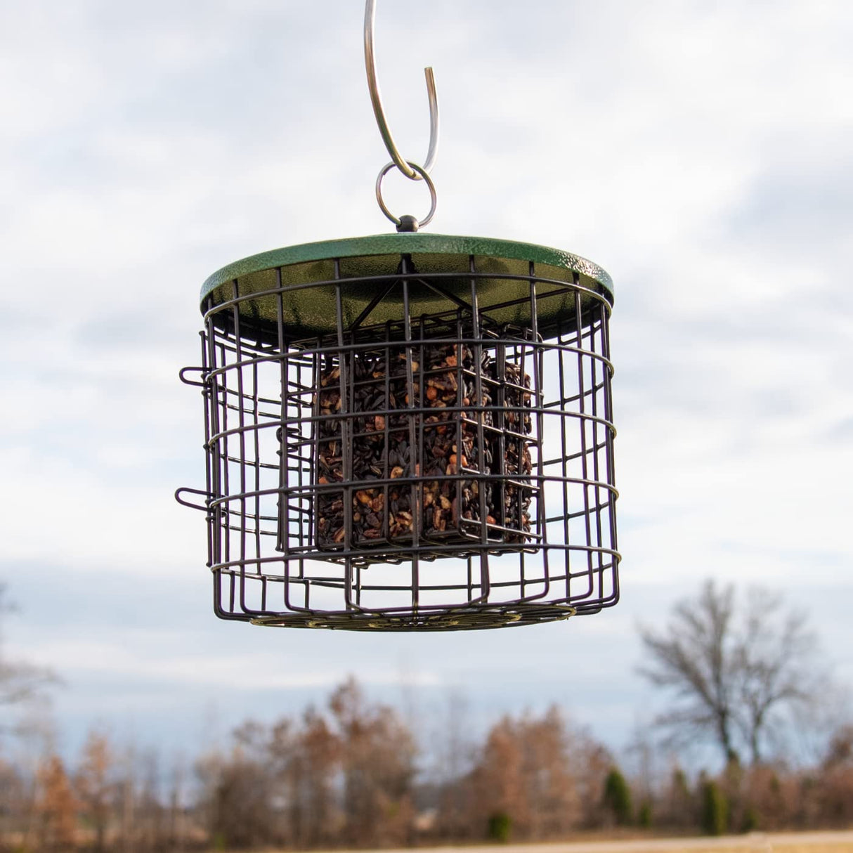 Squirrel Stopper Round Squirrel Proof Suet Feeder hanging with suet cakes inside for songbirds.