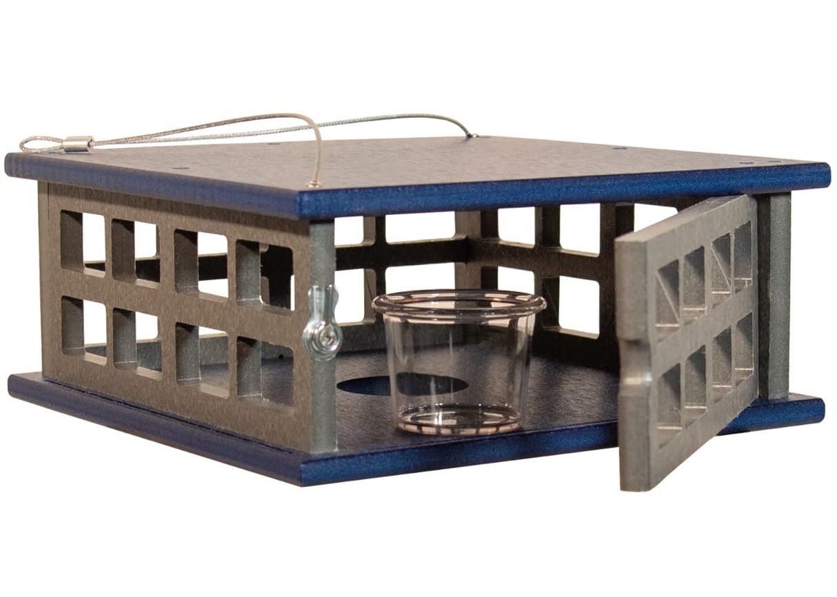 JCS Wildlife Recycled Poly Lumber Caged Platform Bluebird Feeder with acrylic cup and open gate.