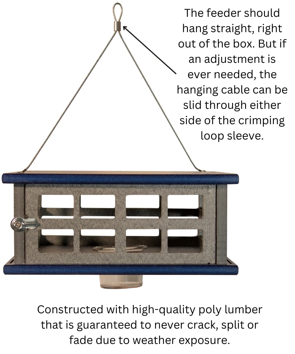 JCS Wildlife Recycled Poly Lumber Caged Platform Bluebird Feeder, adjustable hanging design, weather-resistant construction.
