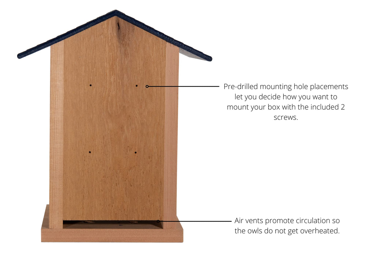JCS Wildlife Cedar Screech Owl Nest Box showing mounting holes and air vents for owl comfort and circulation.