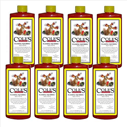 Product shot of eight bottles of Cole's Flaming Squirrel Seed Sauce showing a cartoon squirrel surrounded by peppers and other spices in a vibrant red bottle with a yellow label