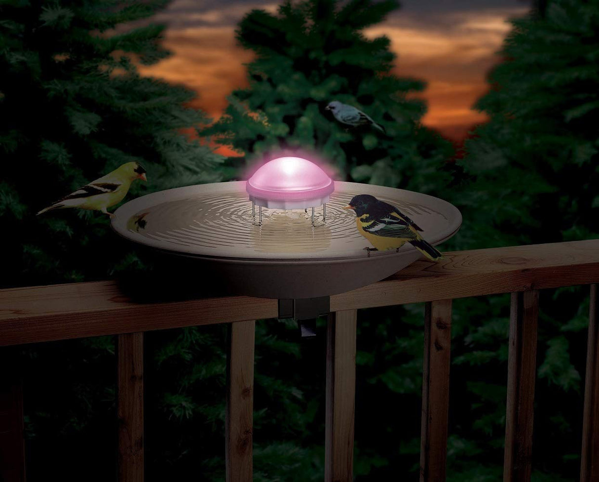 Photo of a lit-up bird bath on a deck at dusk showing goldfinches and a black and yellow bird drinking water with a soft pink LED light and tranquil ripples in the water