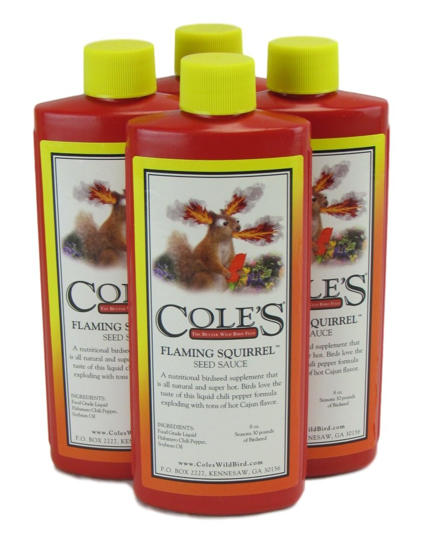Cole's Flaming Squirrel Seed Sauce 8 oz bottles, a spicy birdseed supplement for attracting more birds.