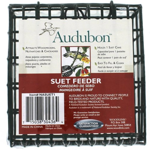 Audubon/Woodlink Hanging Single Suet Cage NASUET1, steel suet feeder for woodpeckers, nuthatches and chickadees.