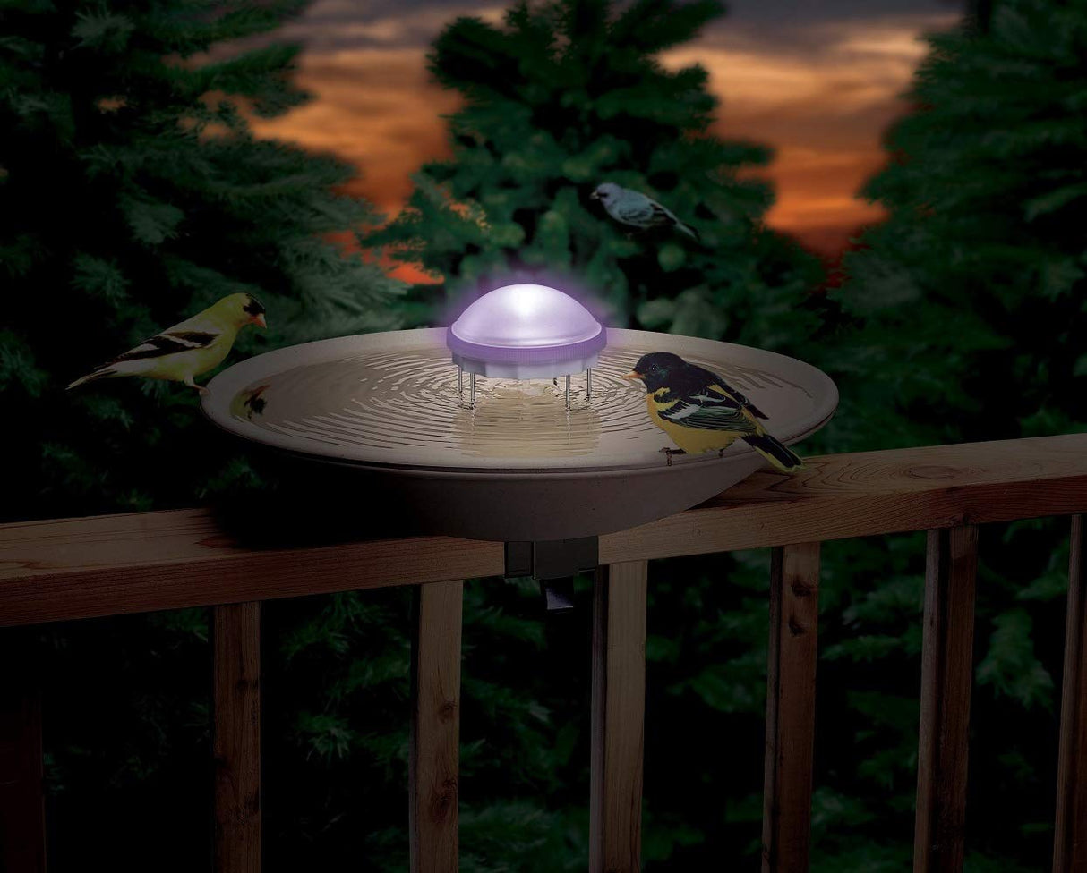 Photo of a solar-powered bird bath on a deck at dusk featuring goldfinches and a black and yellow bird drinking from the illuminated water bowl against a backdrop of evergreen trees and a colorful sunset