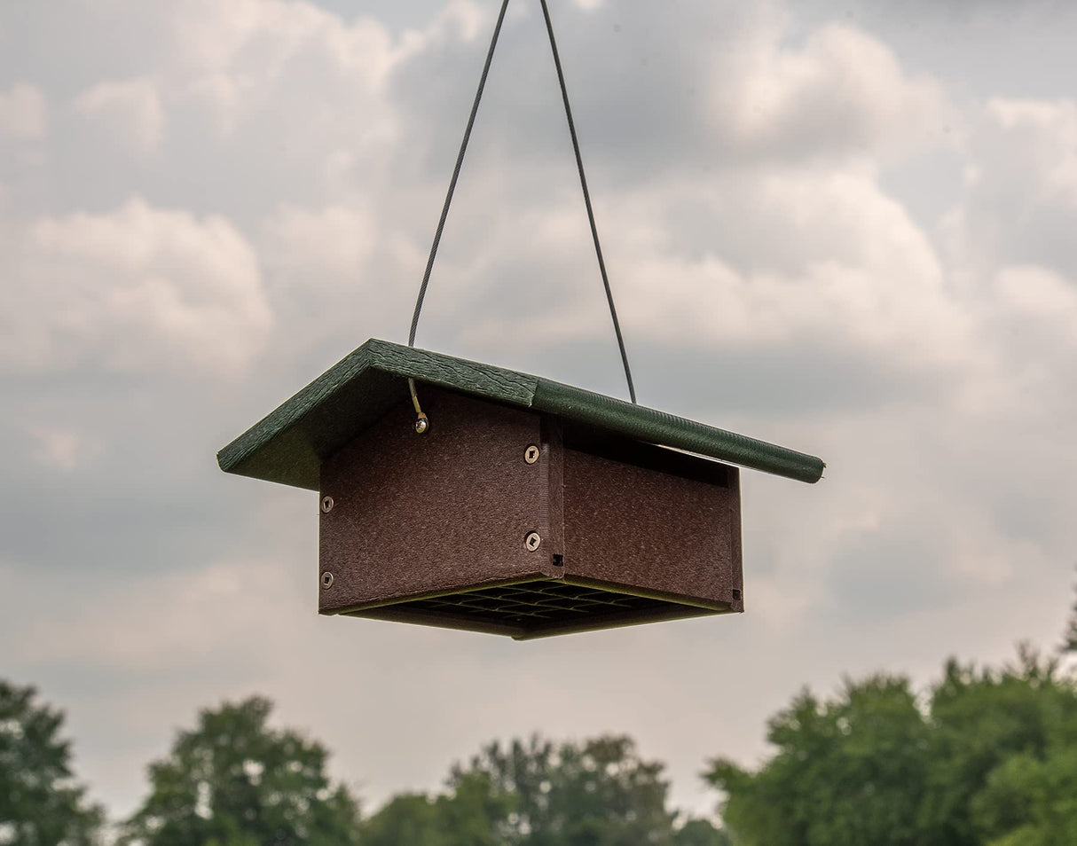 Photograph of a dark brown and green recycled plastic bird feeder hanging outdoors against a cloudy sky with a blurred background of lush green trees.