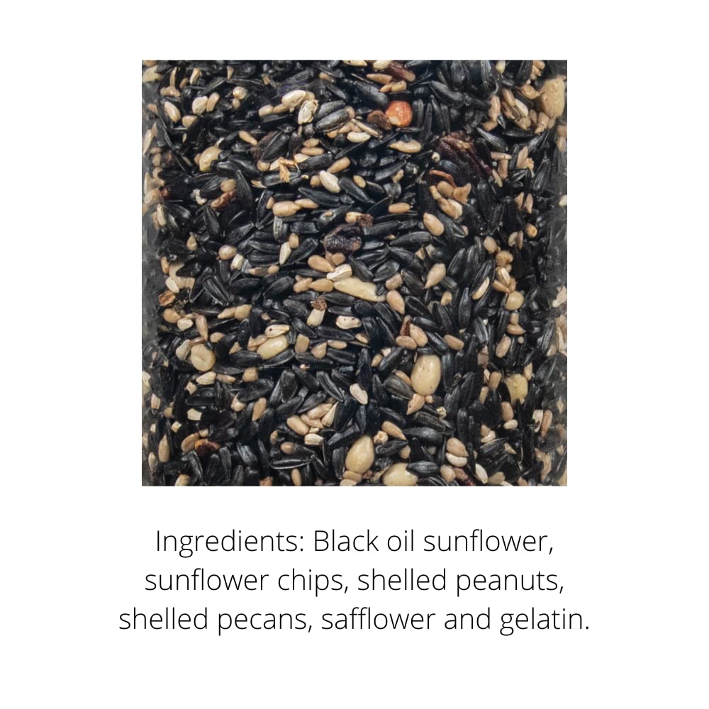 Close-up photograph of a mix of black oil sunflower seeds shelled peanuts safflower seeds and pecans showing their various shapes and colors