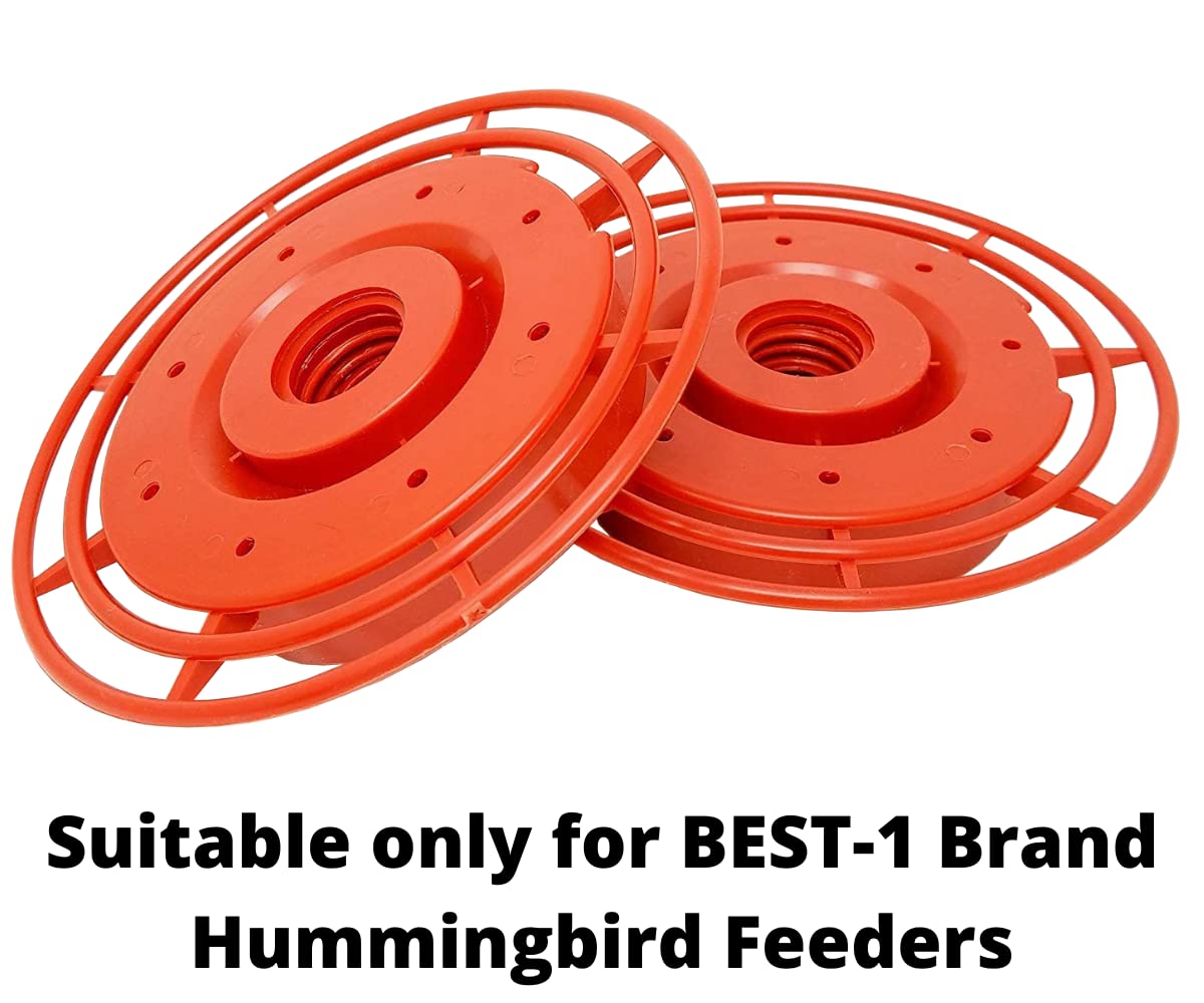 Product shot showing two bright orange plastic BEST-1 brand hummingbird feeder perches with concentric rings and small holes for easy hummingbird access.