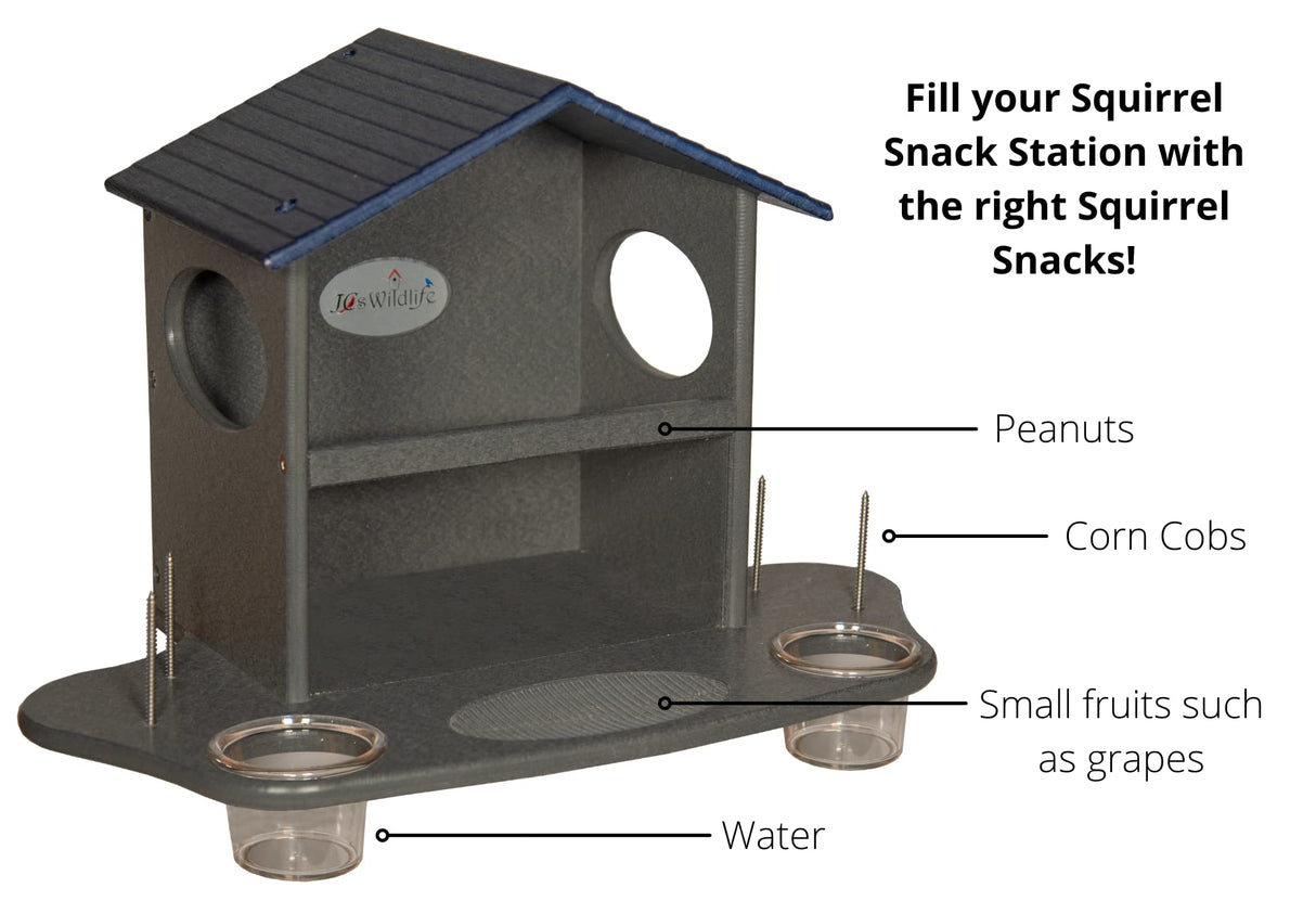JCS Wildlife Squirrel Snack Station for feeding peanuts, corn, and fruits, perfect for squirrel dining.