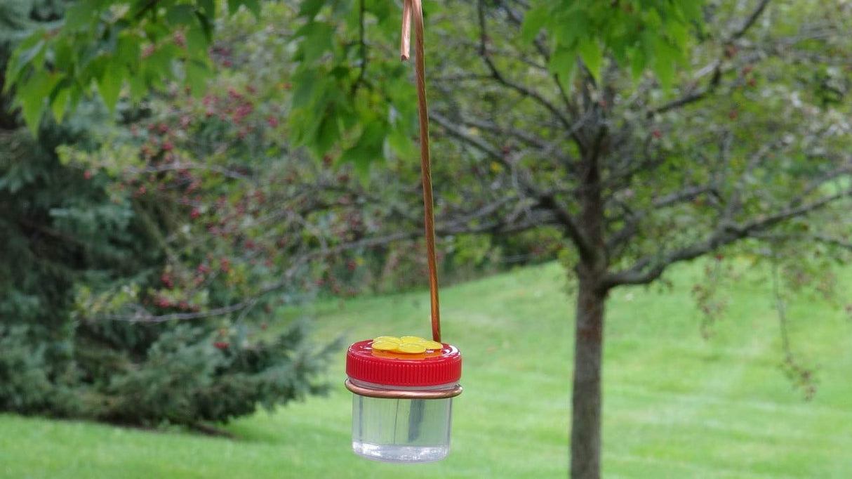 Photograph of a handmade hummingbird feeder featuring a clear jar a red lid a yellow flower accent and copper wire hanging from a tree in a backyard with green grass and trees with red berries