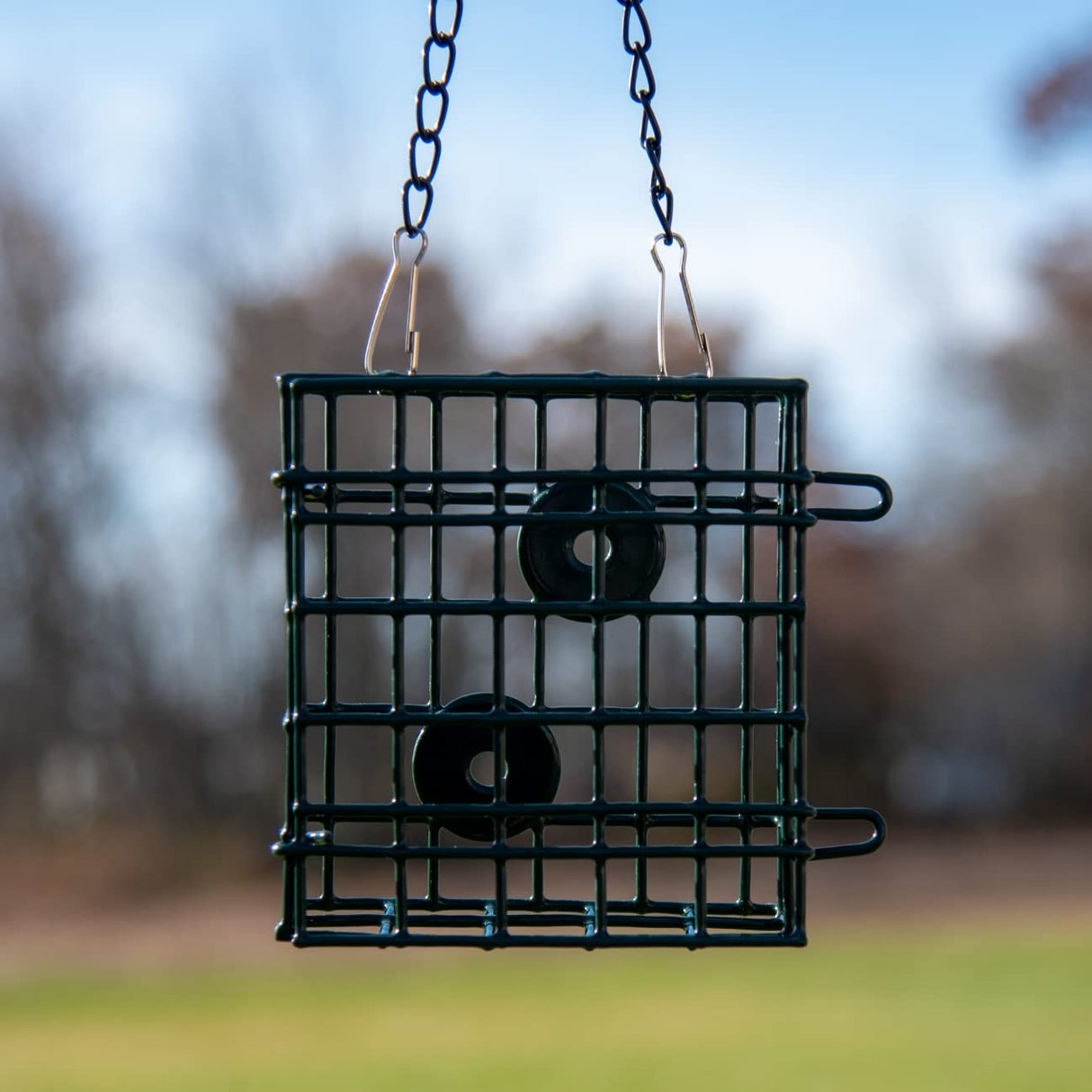 JCs Wildlife Single Suet Cage for birds, holds 1 suet cake, durable PVC coated wire mesh feeder hanging outdoors.