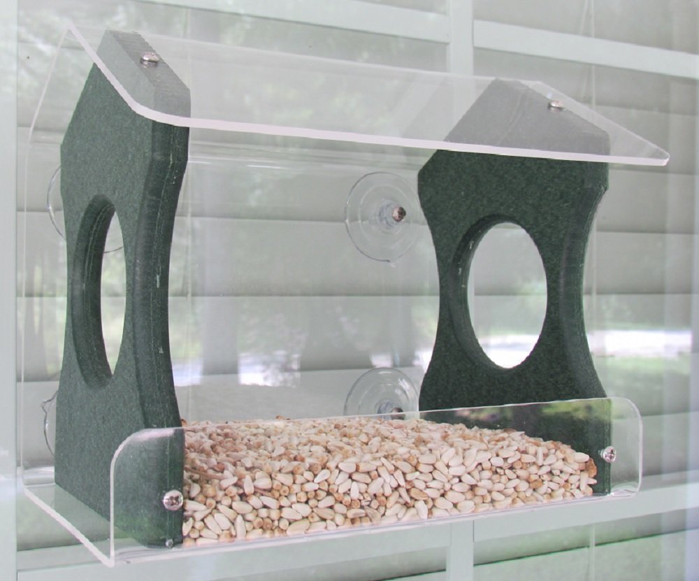 Acrylic bird feeder with dark green perches and clear acrylic walls filled with sunflower seeds attached to a window by suction cups