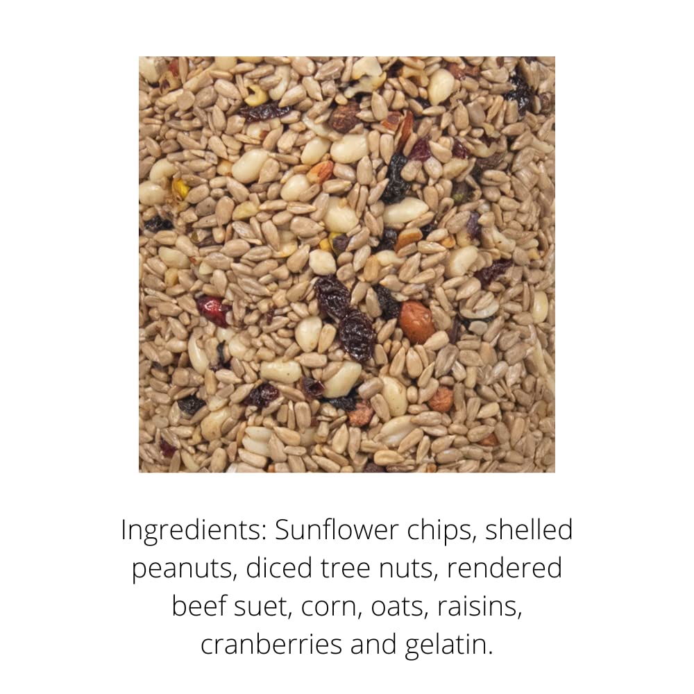 Close-up of bird seed mix ingredients including sunflower chips, peanuts, tree nuts, and cranberries.