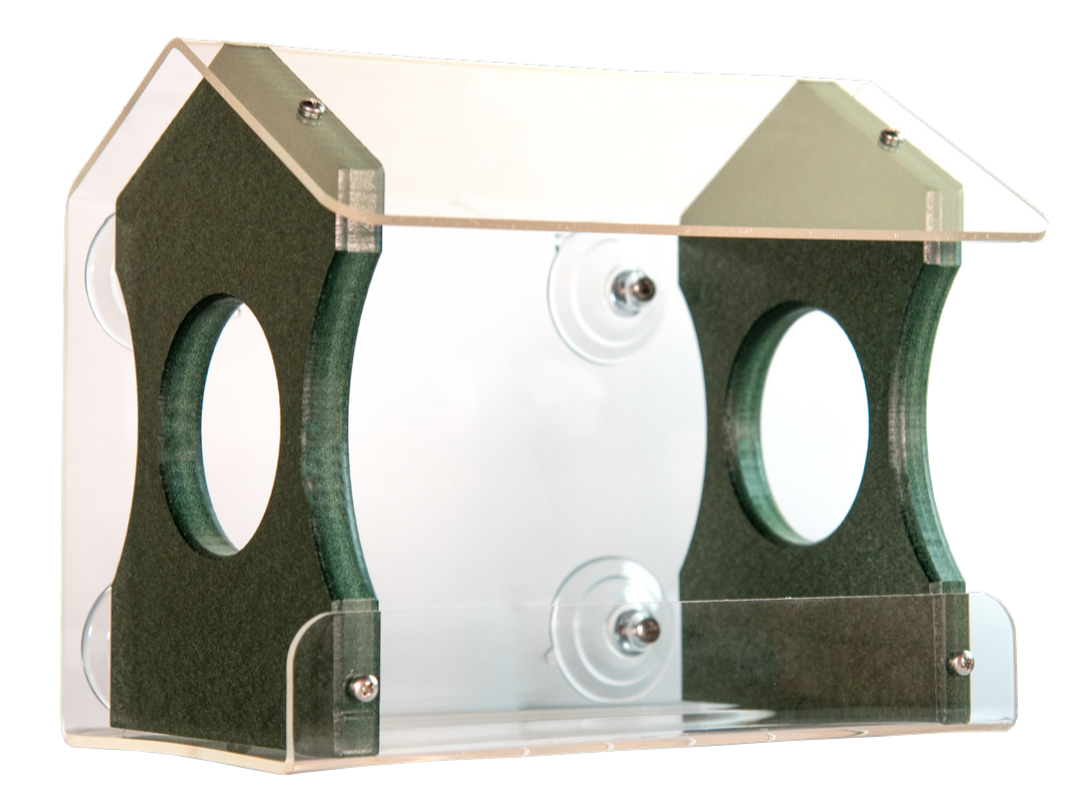Acrylic bird feeder with dark green perches and clear acrylic sides and roof showing silver screws and suction cups