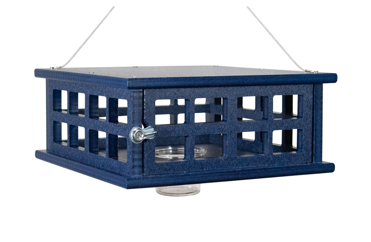 JCS Wildlife Recycled Poly Lumber Caged Platform Bluebird Feeder in blue, ideal for attracting bluebirds while deterring larger birds.