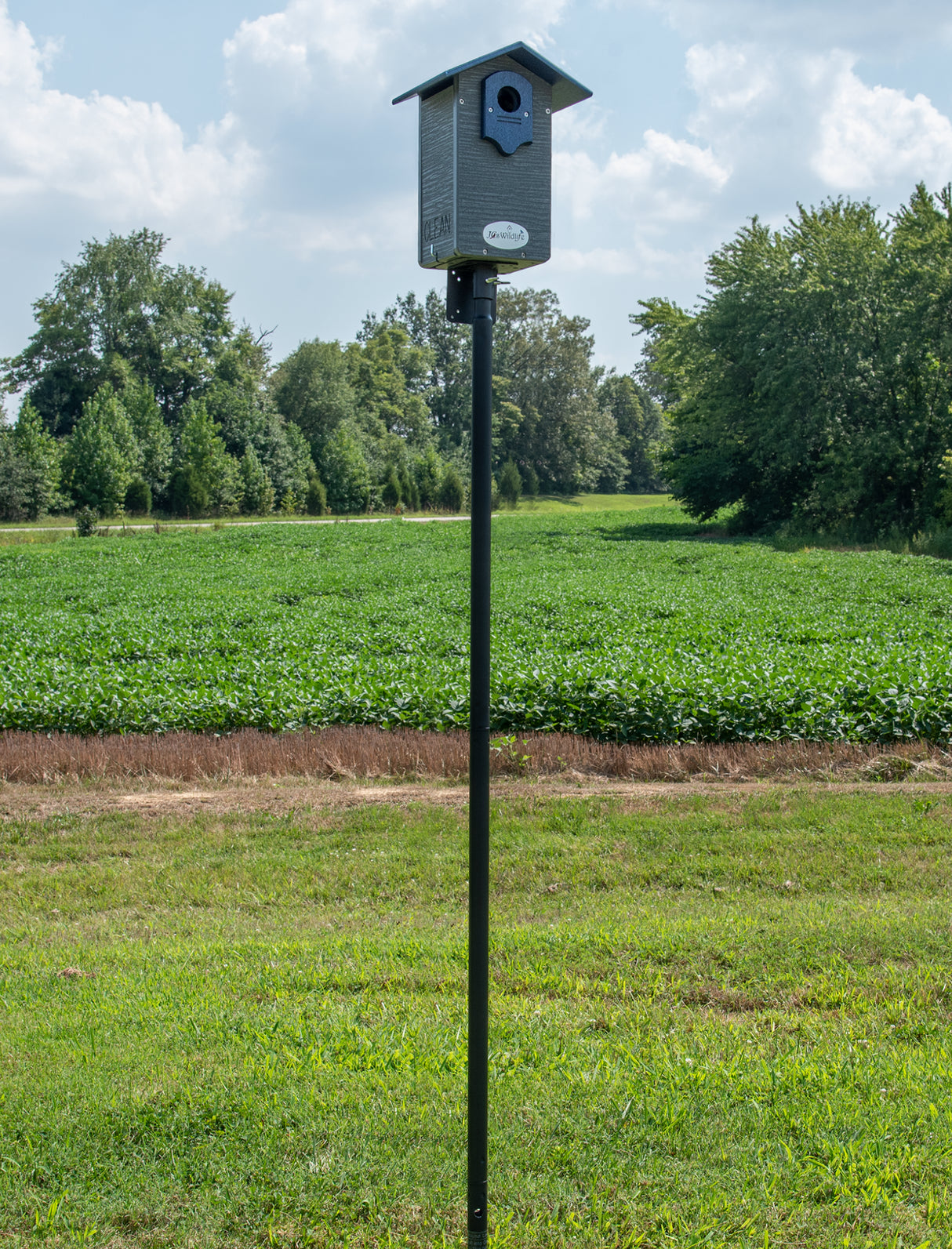 Ise's Wildlife gray birdhouse on a black pole in a field of vibrant green soybeans near a tree line under a partly cloudy sky