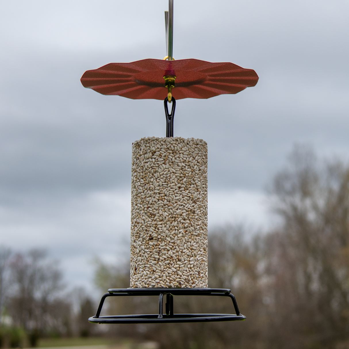 JCS Wildlife 9.5" Metal Rain Guard and Cylinder Feeder Kit with bird seed cylinder hanging outdoors.