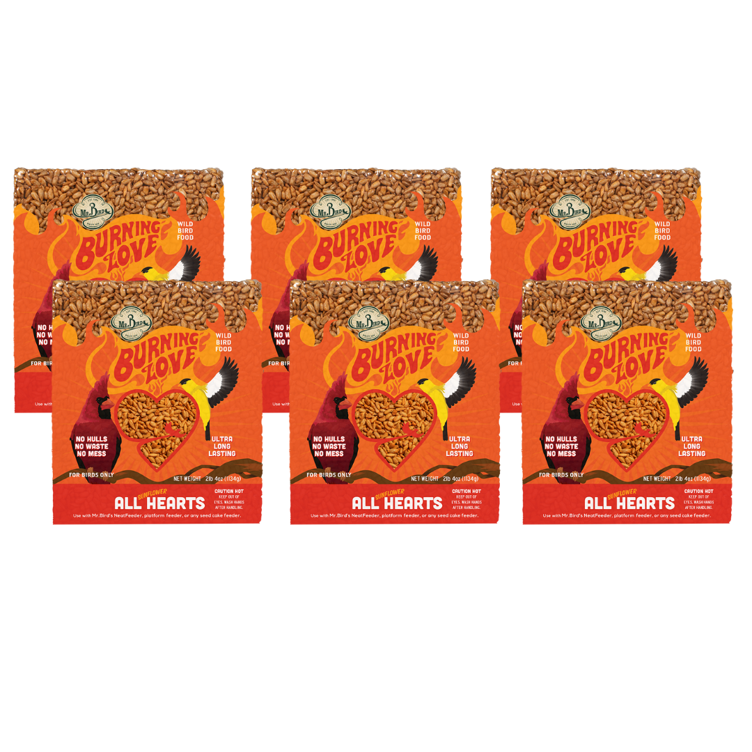 Mr. Bird Burning Love Large Cake boxes featuring spicy bird snacks, perfect for squirrel-proof feeding.