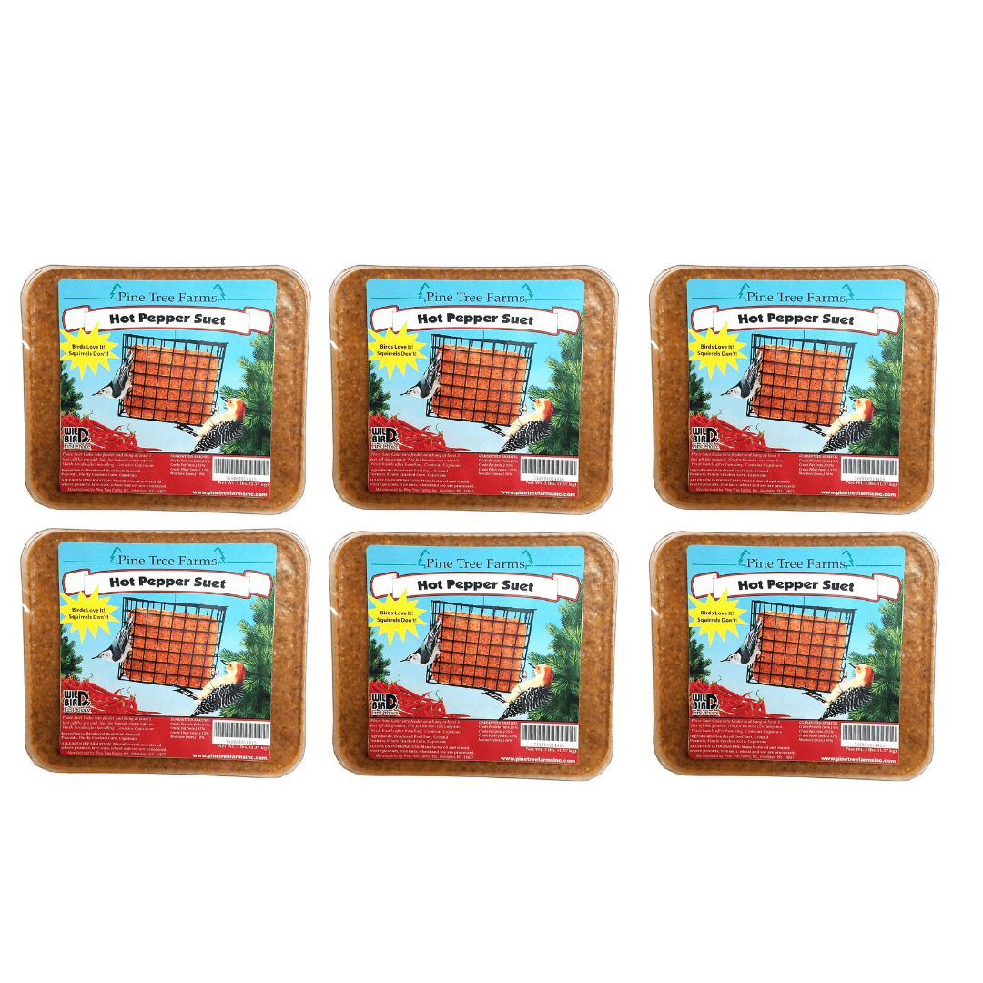 Pine Tree 1441 Hot Pepper Suet Cake 3-Pound pack of six, designed to attract birds while deterring squirrels.