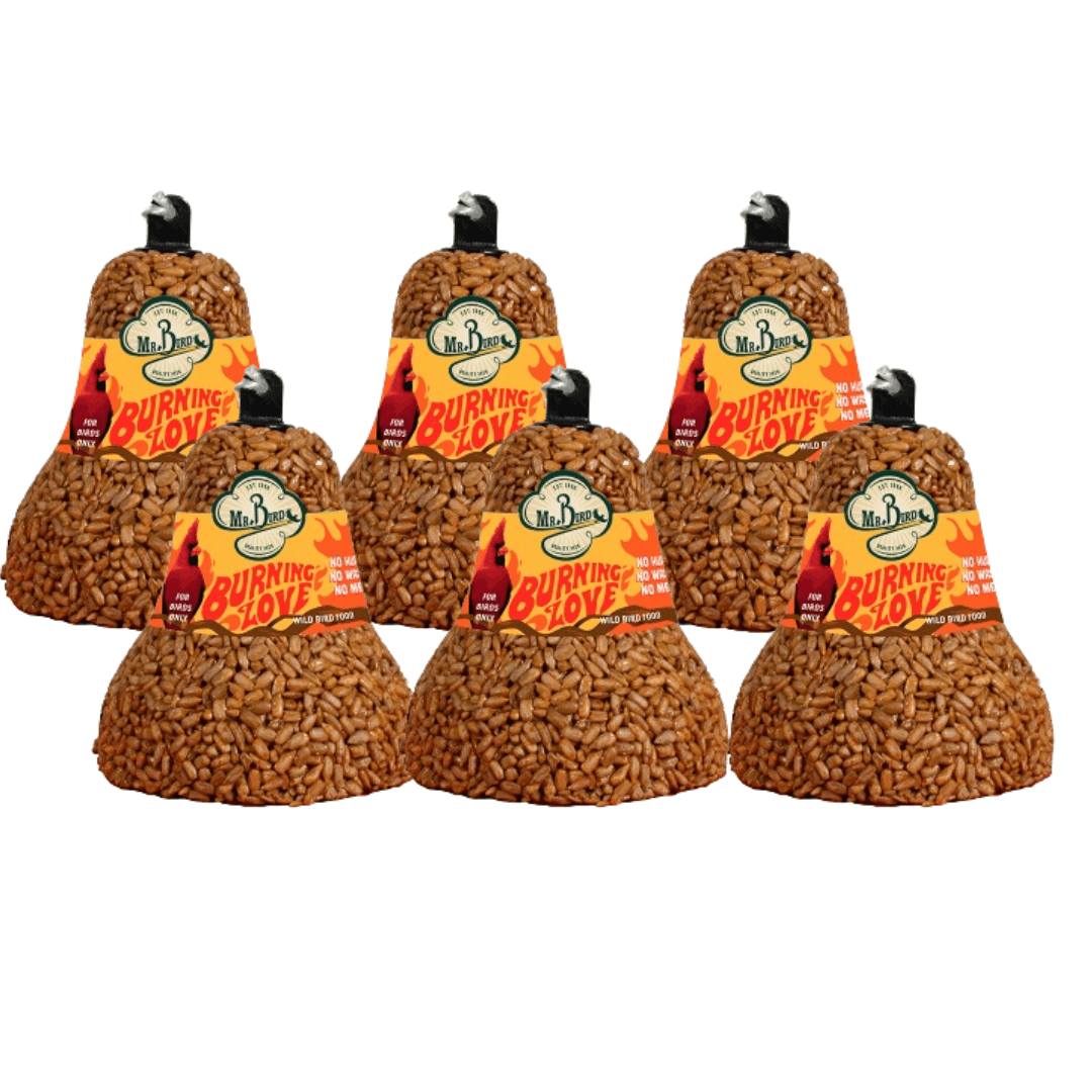 Mr. Bird Burning Love Seed Bell, hot snack for birds, squirrel-resistant, built-in hanger, 5" diameter, pack of six.