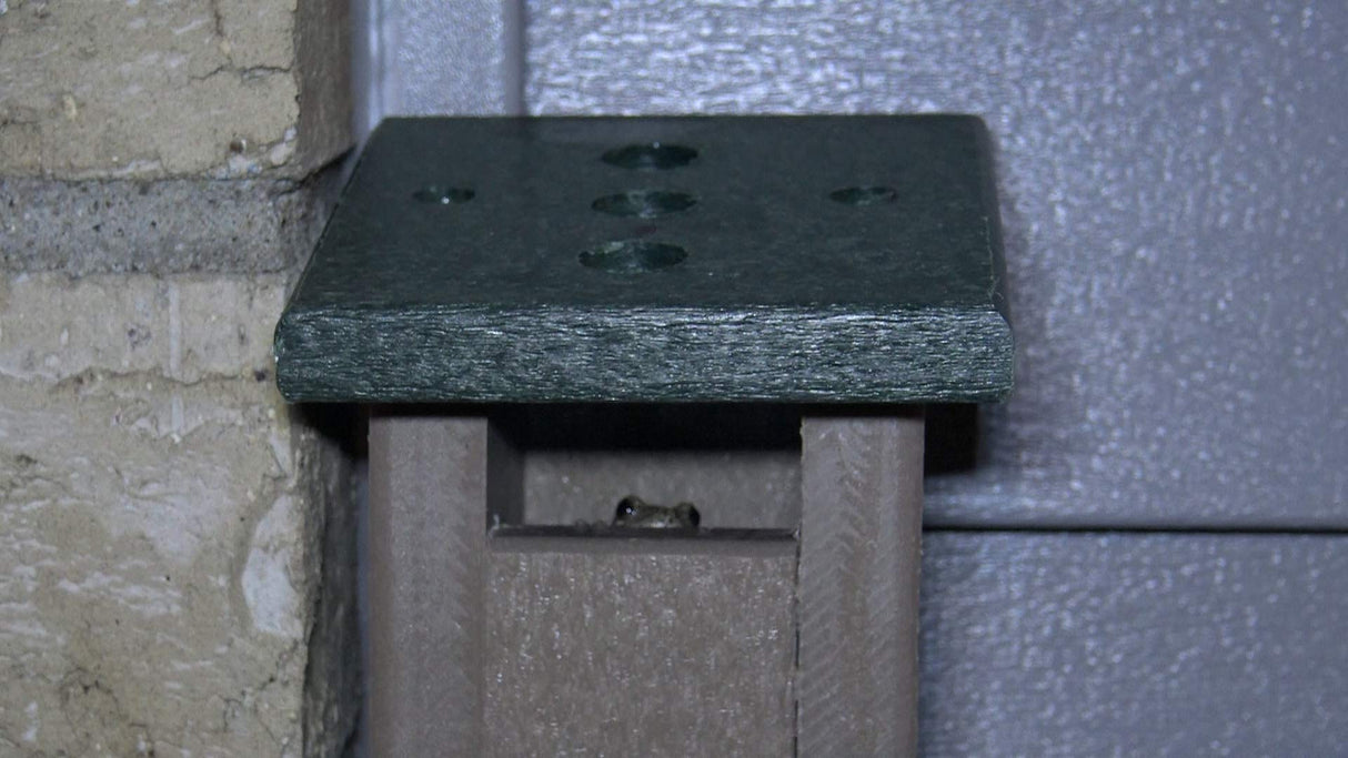 Photograph of a small frog peeking from a dark brown and green plastic frog house situated against a light beige brick wall and dark gray siding
