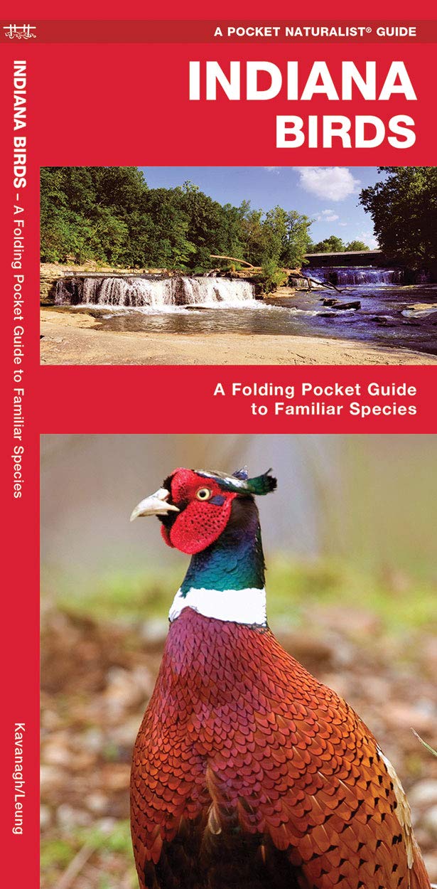 Kavanagh/Leung's Indiana Birds guide featuring a vibrant ring-necked pheasant with a red face and iridescent green neck near a waterfall and covered bridge in Indiana