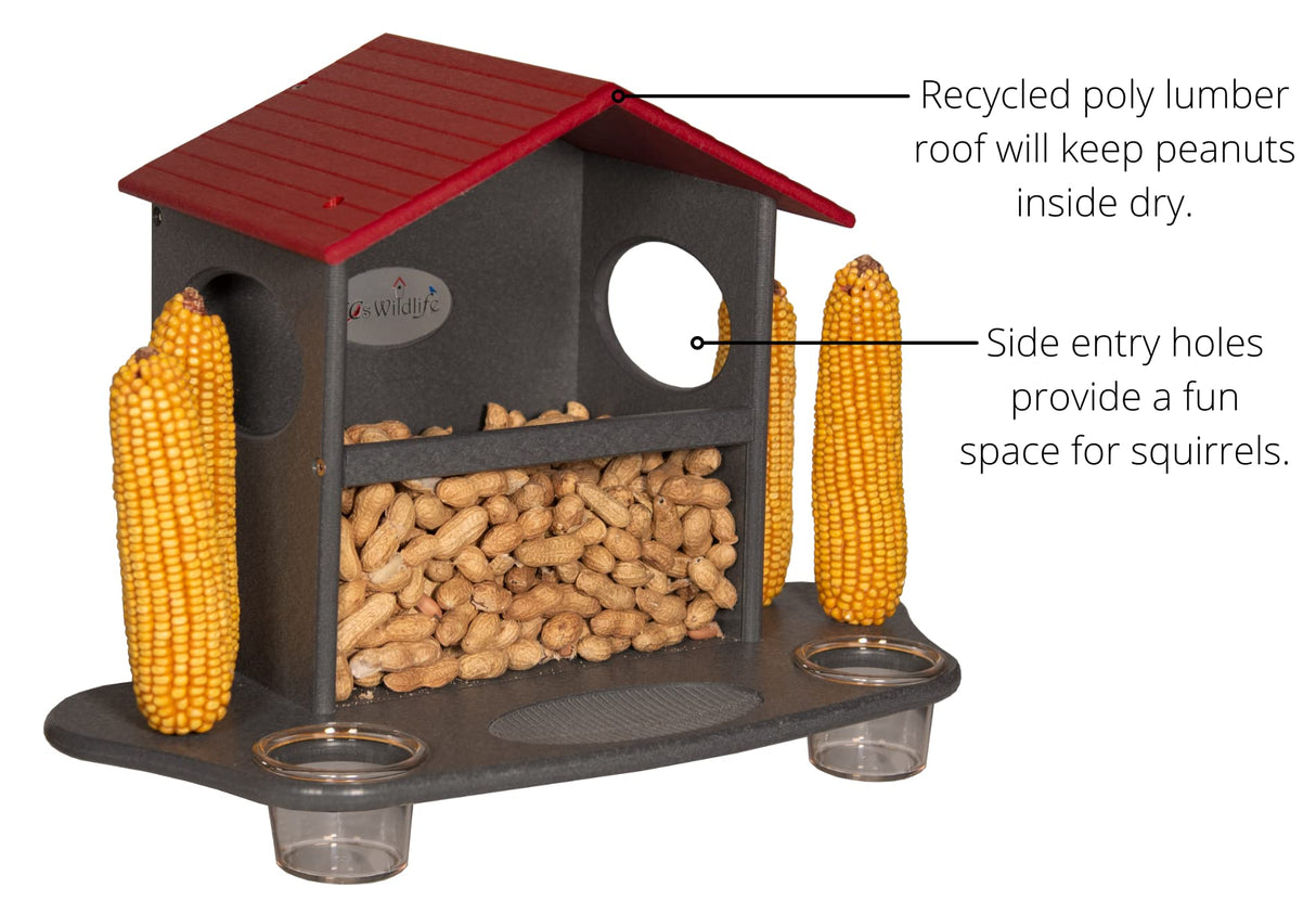 JCS Wildlife Squirrel Snack Station with durable eco-friendly design, featuring peanut storage and corn for squirrels.
