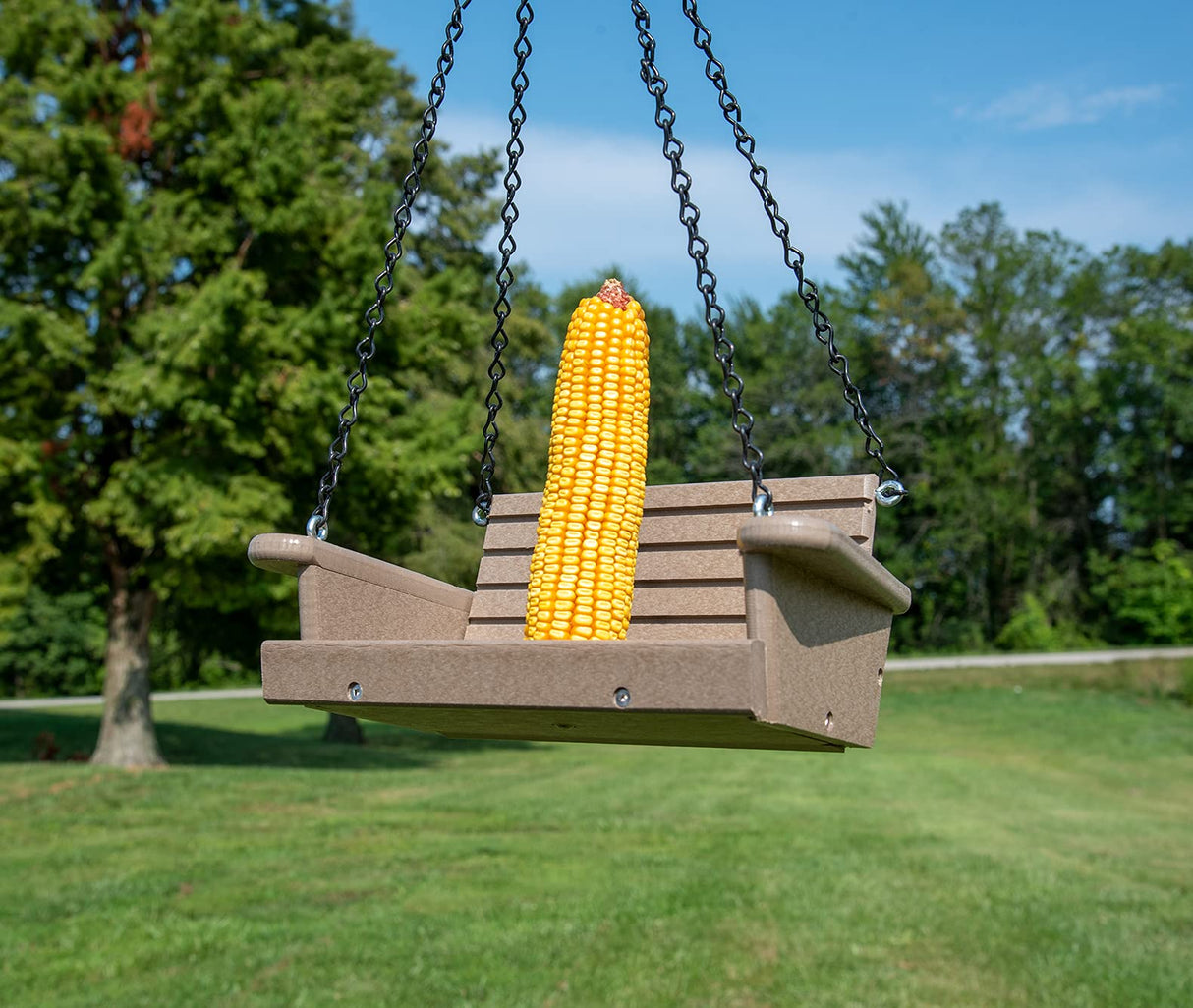 Photograph of an ear of corn on a taupe plastic swing hanging from black chains in a verdant field near lush green trees and a country road
