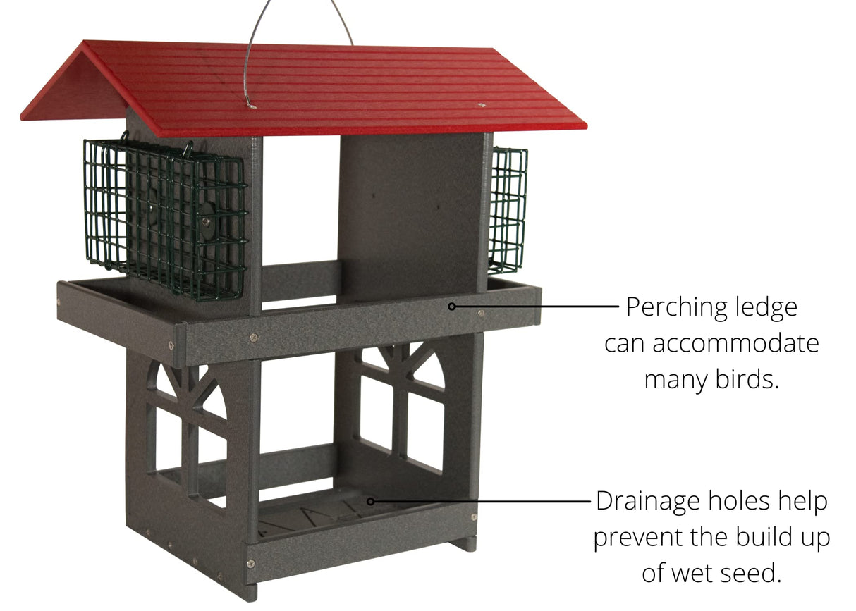 JCS Wildlife Double Fly Thru Bird Feeder with Suet Cages featuring perching ledge and drainage holes for bird seed.